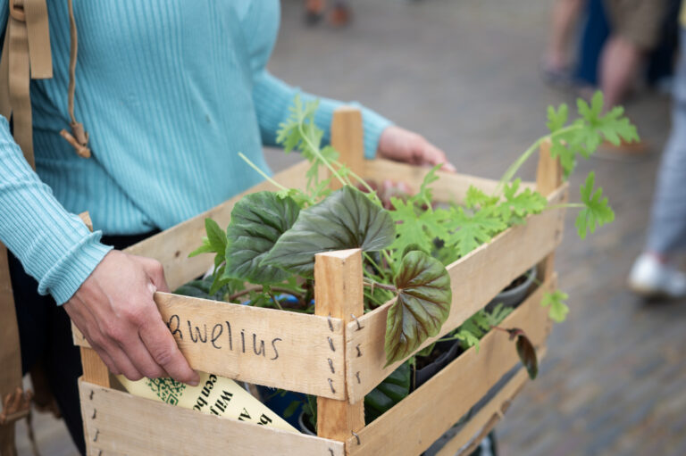 Arnhem Groen Markt — markt-eten in Arnhem