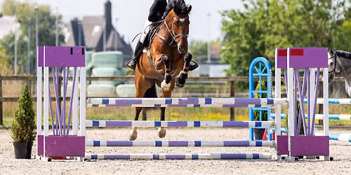 Outdoor springen paarden & pony’s — Sport in Arnhem