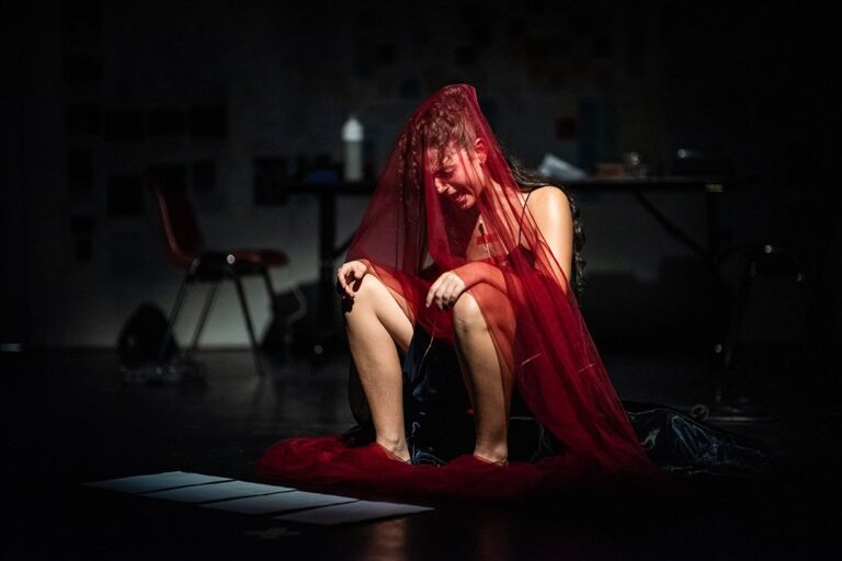Banshee — theater in Arnhem